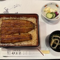 鰻割烹 伊豆栄 本店 -  鰻割烹 伊豆栄 本店 -
