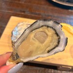 生牡蠣研究所 - 