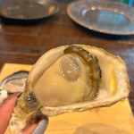 生牡蠣研究所 - 