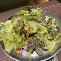 名駅de 焼肉 DOURAKU 名駅店 - 
