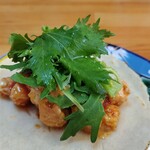 タコス　ハルディン - 25/08