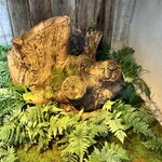 レフェルヴェソンス - 