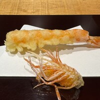 天冨良 麻布よこ田 新宿別邸 - 