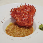 レストラン コートドール - 