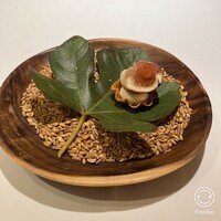 デルフィーナ - 