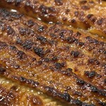 うなぎ専門店 本多 - 