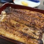 うなぎ専門店 本多 - 