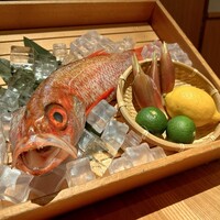 のどぐろ専門 銀座 中俣 - 