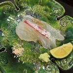 あま木 - 真鯛のお刺身