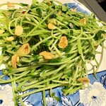 酒々落菜 - 豆苗炒め・爆香