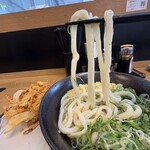 麦まる - かけうどん(中)