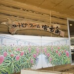 ユートピアファーム宮古島 - 