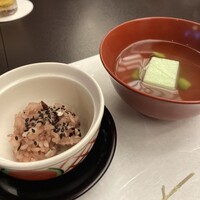 山茶花 - 