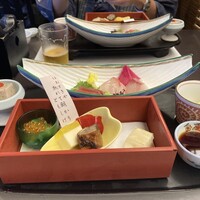 山茶花 - 