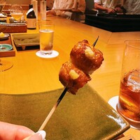 鳥匠いし井ひな - 