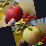 アグリショップ - 白い方が甘くて美味しい？