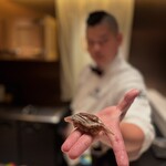 2nd EDITION TERUZUSHI - 