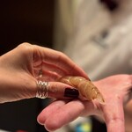 2nd EDITION TERUZUSHI - 