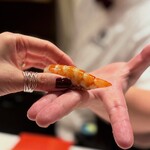 2nd EDITION TERUZUSHI - 