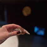 2nd EDITION TERUZUSHI - 