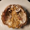 函館海鮮居酒屋 魚まさ - 