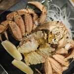 函館海鮮居酒屋 魚まさ - 