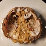 函館海鮮居酒屋 魚まさ - 