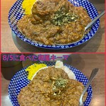 ヌードル＆スパイスカレー 今日の1番 - 和風キーマと本日の豚さんの比較写真！