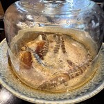 釜めしと海鮮の店 ジャポニカサード - 