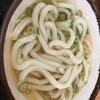 さか枝うどん 南新町店