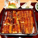 濱松地焼 鰻 まさ - 