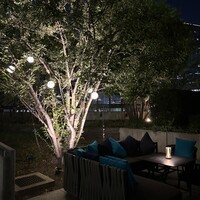 THE COSMOPOLITAN GRILL BAR TERRACE - 