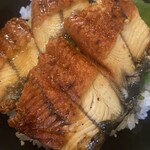 まぐろの鉄人 - うなぎ蒲焼き丼 1000円