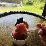 淡路島の恵みジェラート のら - 