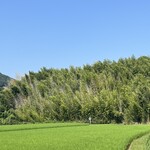 淡路島の恵みジェラート のら - 