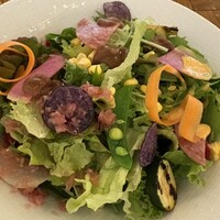 TRATTORIA PIZZERIA 207 渋谷店 - 