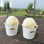 おもて梨キッチン - 料理写真:梨シャーベット