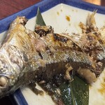 割烹 一の矢 - この青みを帯びたふくよかな背中がマル。脂が乗り過ぎでなくちょうどよい。内臓まで全部美味しかった。