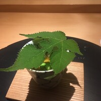東山無垢 - 