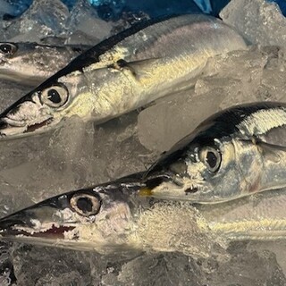 越後屋 三太夫_2