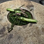 アニエルドール - 