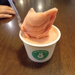 OTTO gelato - 