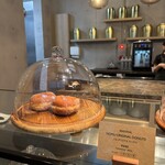 Nicolai Bergmann NOMU - 