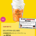 ジェラテリア ジェラボ - 北海道産赤肉メロンとソフトクリーム