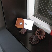 NeMo - 