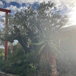 モンテカルロ「オテル・ド・パリ」のワインセラー - 