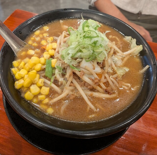 熟成味噌ラーメン専門店 ミソウソツカナイ 岐阜西店 - 西岐阜/ラーメン