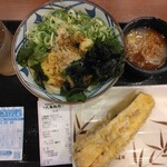 丸亀製麺 - 料理写真:冷やしぶっかけ並420円、大根おろし90円、長なす天170円(2025.8.1)