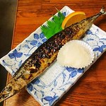 立派なサンマです