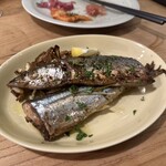 キツネノアトチ - 